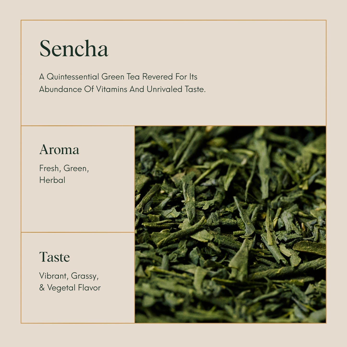 Sencha Japanese Green Tea