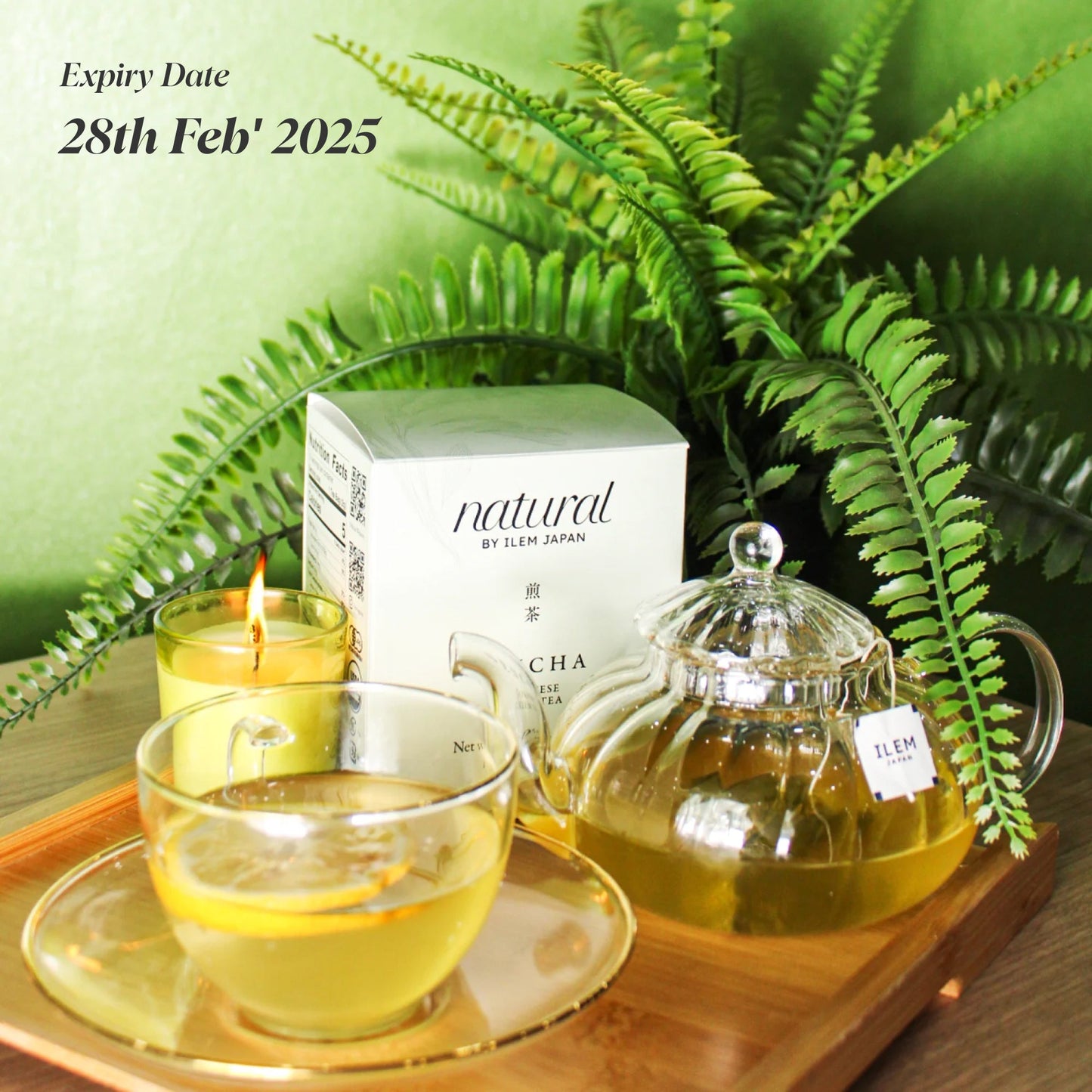 Sencha Japanese Green Tea